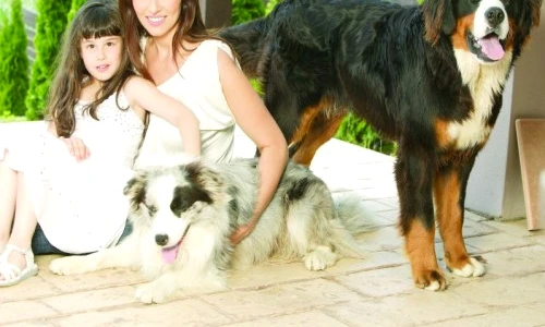 1 47726 original jpg jpeg