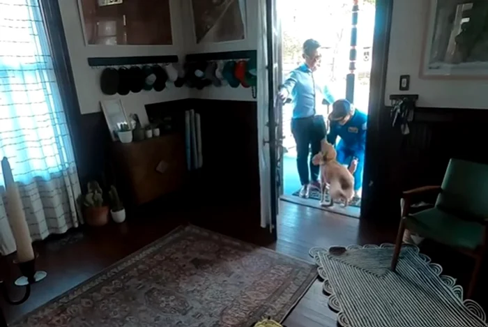 Christina Koch, întâmpinată de animalul de companie - Foto: Instagram