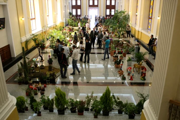 Expo Flora 2011