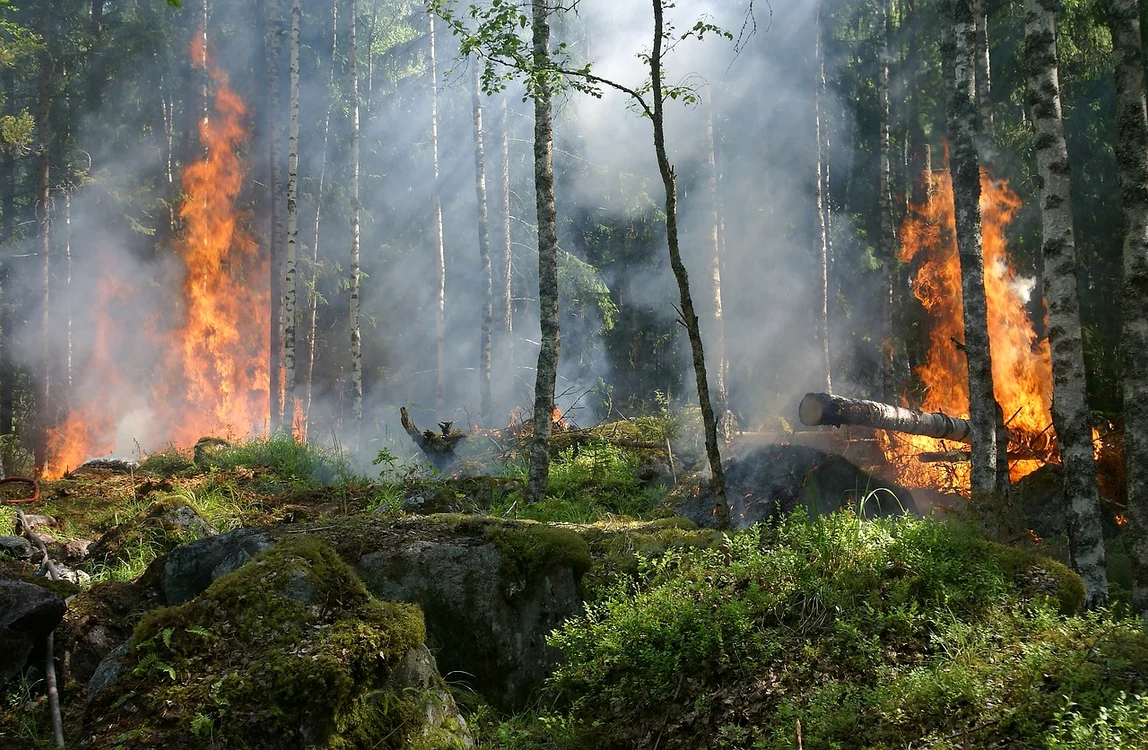 Grecia arde din cauza caniculei / foto: Pixabay