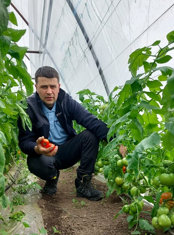 Legumicultorul Gheorghe Domnicu spune că spre sfârşitul săptămânii va face primele livrări FOTO: Uniunea Salvaţi Ţăranul Român