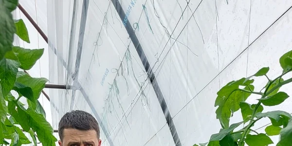 fermierul gheorghiţă domnicu se pregăteşte să livreze primele roşii - foto facebook gheorghe domnicu