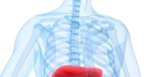 Depistarea precoce a cancerului hepatic