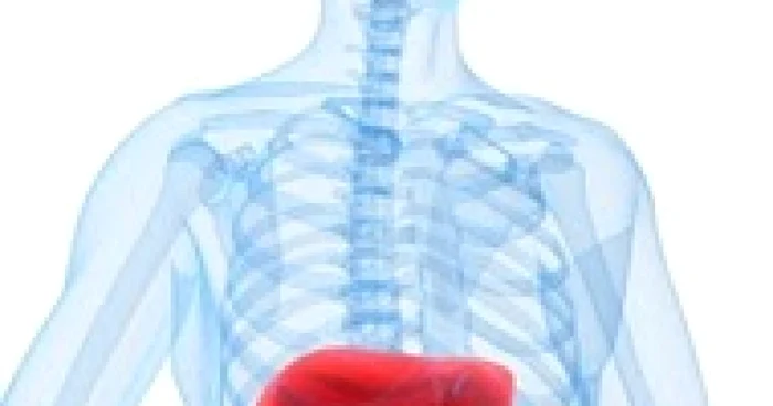 Depistarea precoce a cancerului hepatic