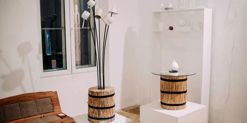 Obiecte DeltaCraft 2.0 inspirate din Delta Dunării Sursa Ecopolis