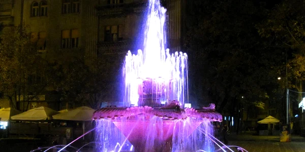 Fântâna cu peşti din Timişoara a fost colorată Foto