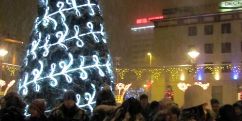 Copiii s-au bucurat de aprinerea bradului