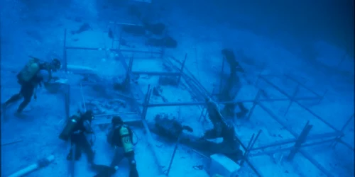 bigbluetechnews.wordpress.com