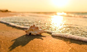 Marea Neagra FOTO Shutterstock jpg
