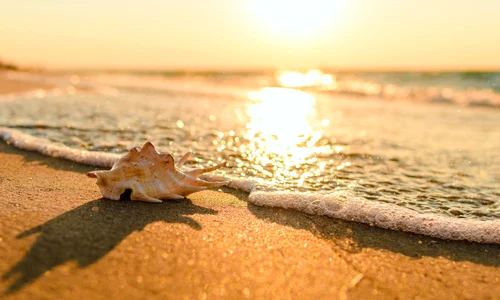 Marea Neagra FOTO Shutterstock jpg