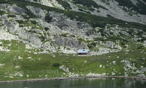 Refugii In Retezat  Foto Parcul Național Retezat (2) jpg