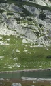 Refugii In Retezat  Foto Parcul Național Retezat (2) jpg