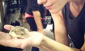 2012  A avut un hamster, Pac  jpeg