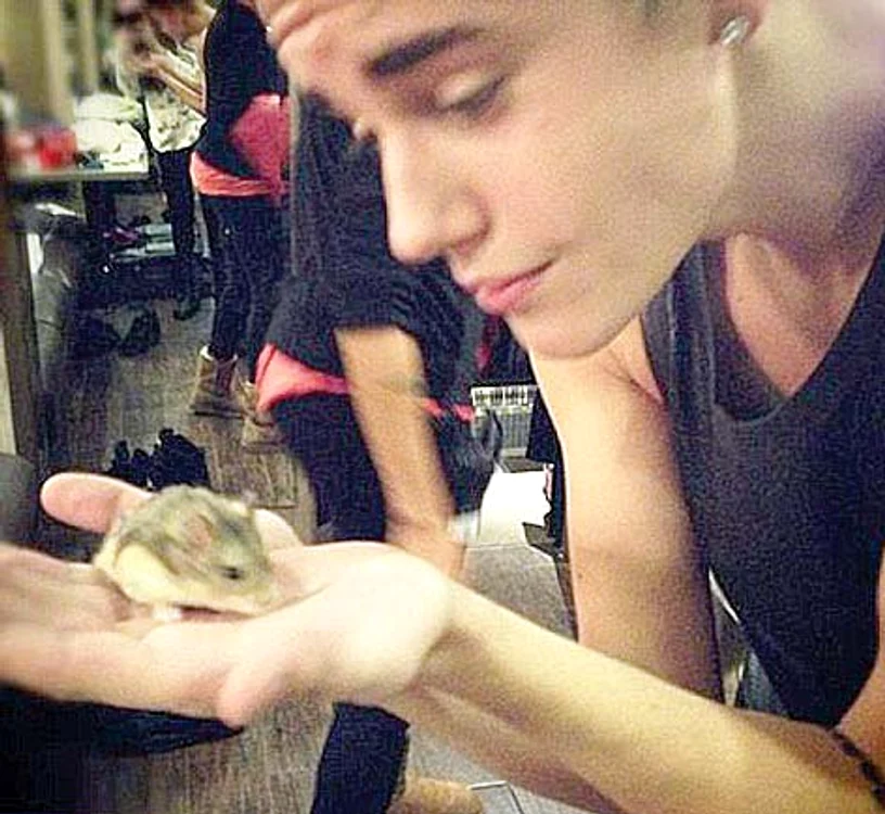 2012  A avut un hamster, Pac 