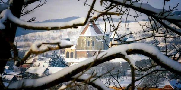 foto andrei lupu - new vision photography