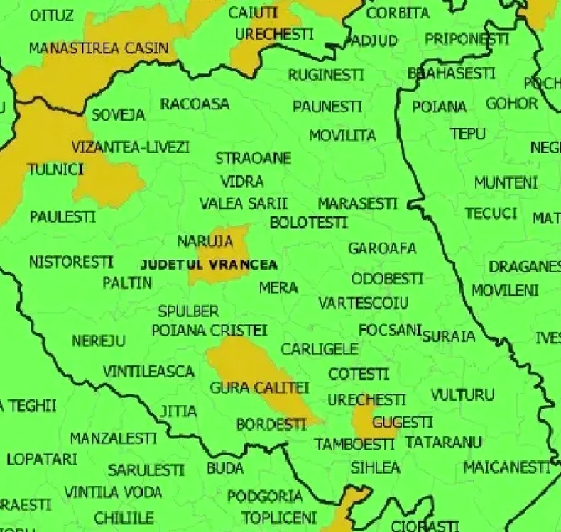 Incidenţa cazurilor de Covid în Vrancea