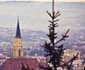 cluj