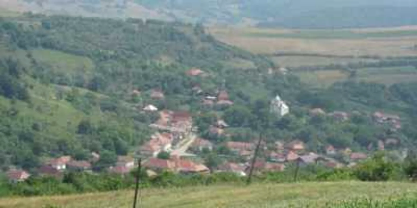 Locuitorii din Stâna nu sunt de acord cu deschiderea carierei de gips