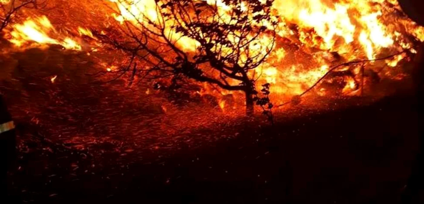 Imagine de la incendiul izbucnit la Roşiorii de Vede  FOTO: ISU Teleorman