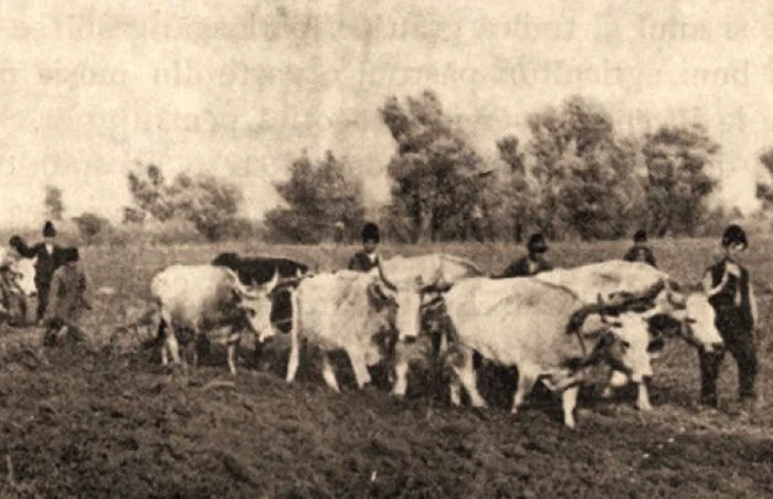 Ţăranii săraci şi văduvele au primit pământ confiscat de la marii moşieri FOTO: historia.ro