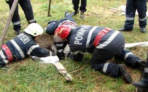 Pompierii au salvat un cal căzut într-un canal FOTO