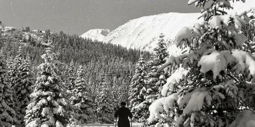 Retezat foto joseph horvath Muzeul de etnografie Budapesta