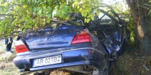 A intrat cu maşina într-un copac de pe marginea drumului