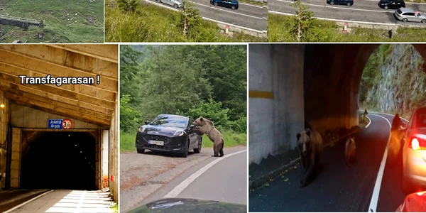 Incidente în trafic și situațiile stranii de pe Transfăgărășan Colaj DMS