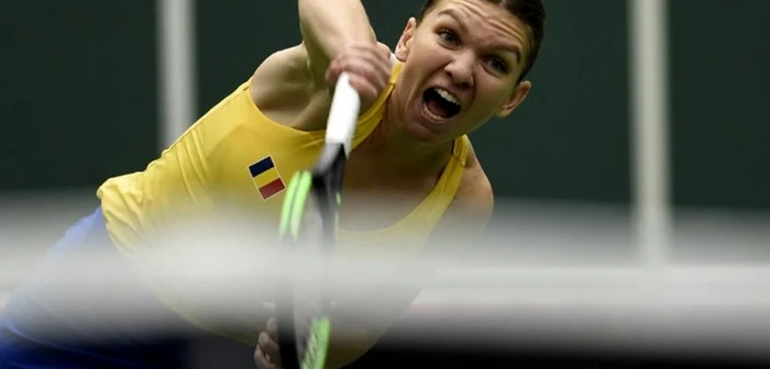 Simona halep fedcup 2019. foto afp