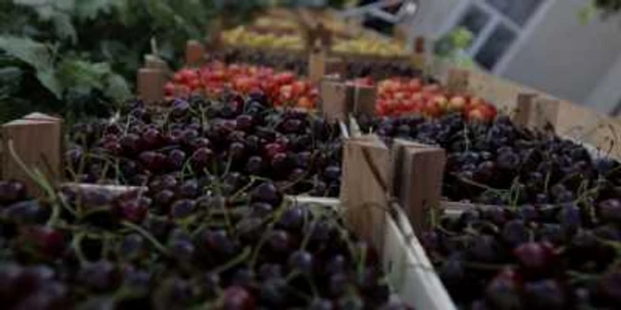 Cel mai bine e să mâncaţi fructele întregi