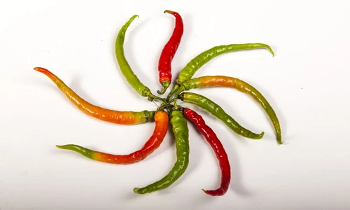 1 75106 original jpg jpeg