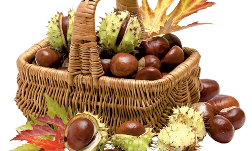 1 55167 original jpg jpeg