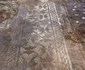 O vilă romană somptuoasă, descoperită la Castel di Guido (© Ministero della Cultura)