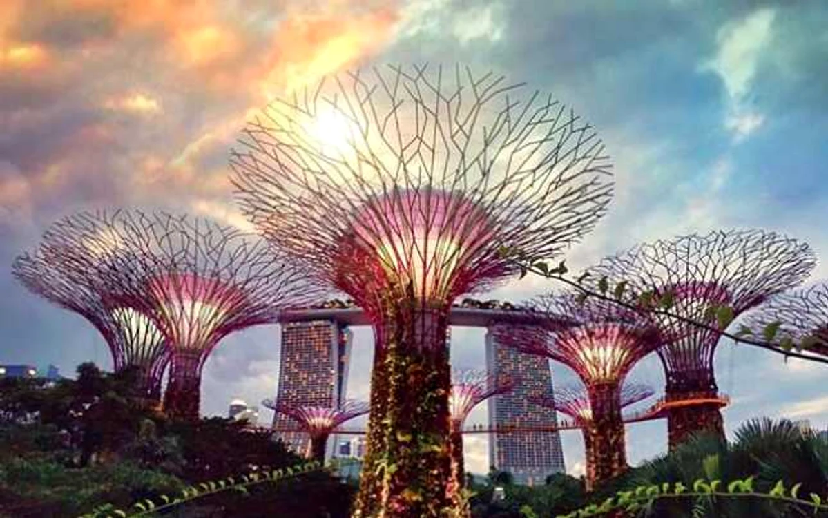 Cei 18 copaci artificiali asigură un impresionant spectacol de muzică şi lumini FOTO gardensbythebay.com