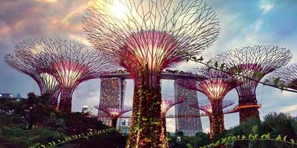 gardens by the bay