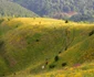 Ţinutul Pădurenilor. Drumul spre Vadu Dobrii. FOTO