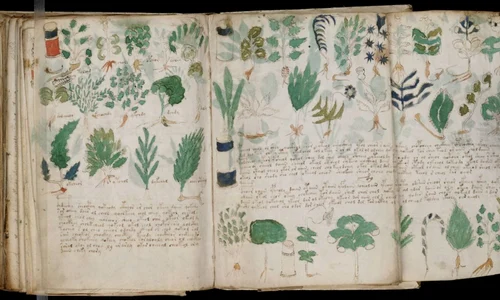 Manuscrisul lui Voynich, descifrat cu ajutorul inteligenței artificiale? jpeg
