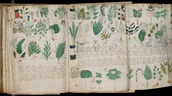 Manuscrisul lui Voynich, descifrat cu ajutorul inteligenței artificiale? jpeg