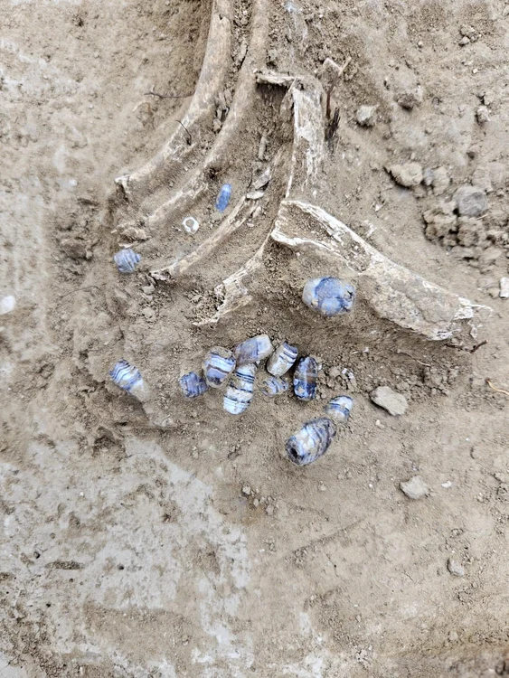Mormintele datează din secolele II-III Sursa (foto Achaeologia Tomitana)