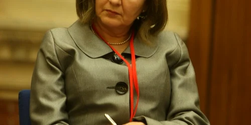doina plesca Marian Iliescu 
