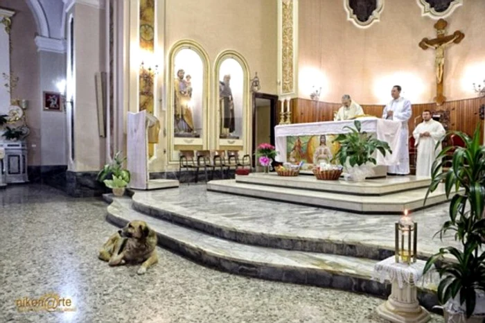 Tommy ascultă cuminte slujba