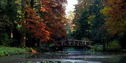 Parcul dendrologic Simeria