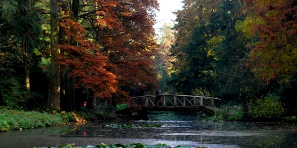 Parcul dendrologic Simeria