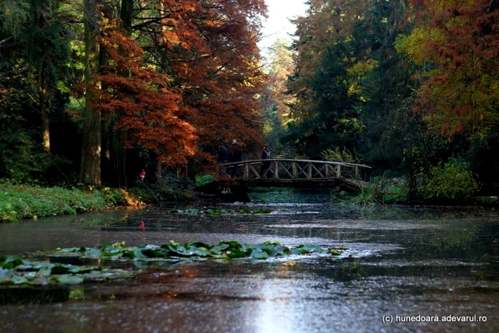 Parcul dendrologic din Simeria. FOTO: Daniel Guţă. ADEVĂRUL.