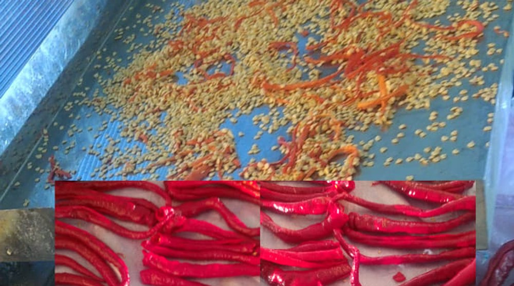 Cum ne preparăm singuri delicioasa boia de ardei iute sau dulce: „ Fără coloranți și fără chimicale”