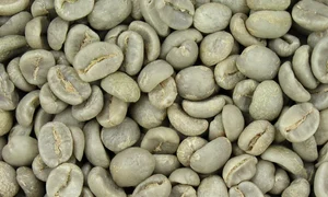 masca de fata cu cafea verde png