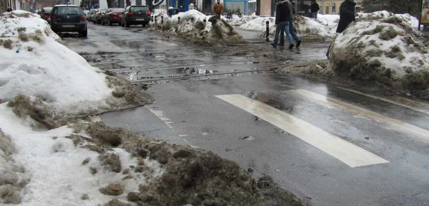 Fața urâtă a iernii din Timișoara