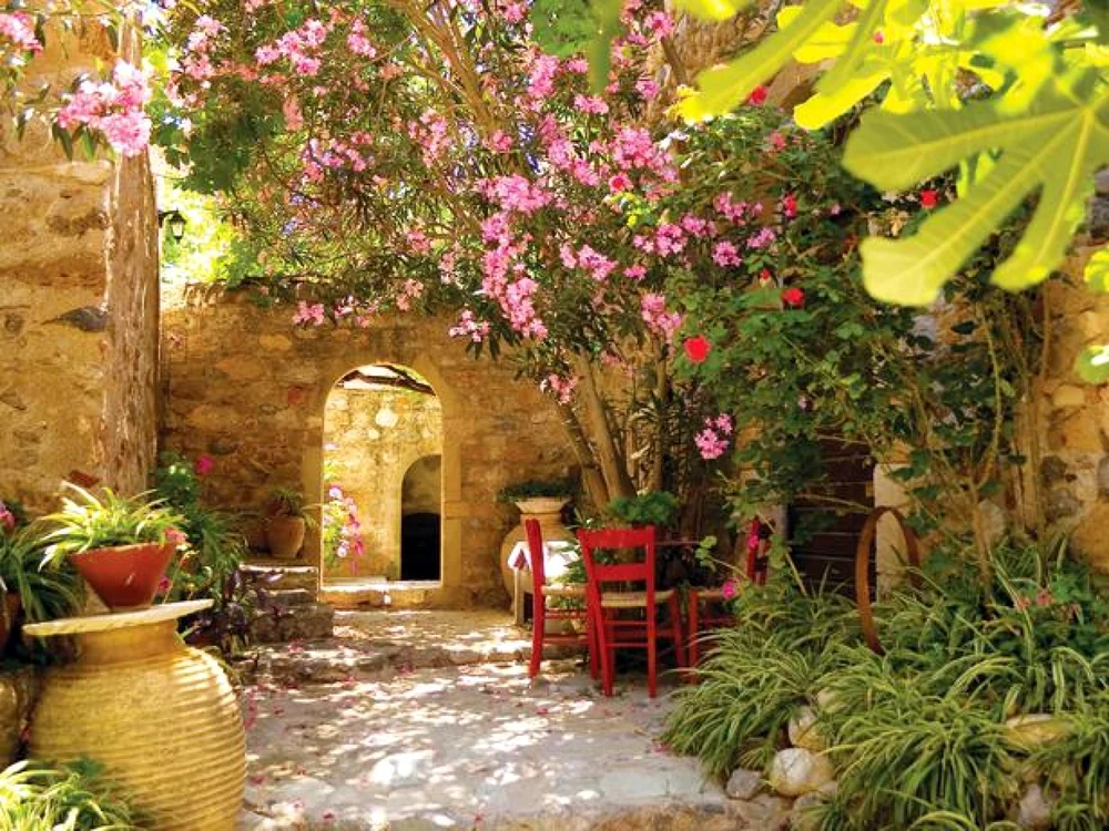 amenajare gradina flori