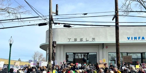 tesla protest sua foto x png