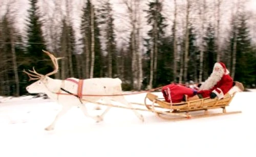 849a413c19143ba4ec1f4ce56974ec9f jpg jpeg